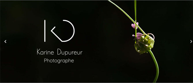 Photo de la page d'accueil du site de photographie de Karine Dupureur