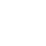 Fichier du logo du CMS WordPress